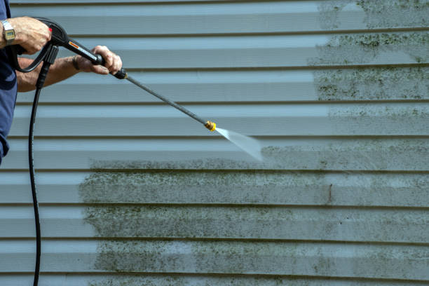 Best Soft Washing for Delicate Surfaces in West Mifflin, PA
